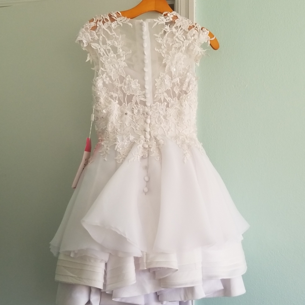 Wedding Dress - Picture 4 of 8
